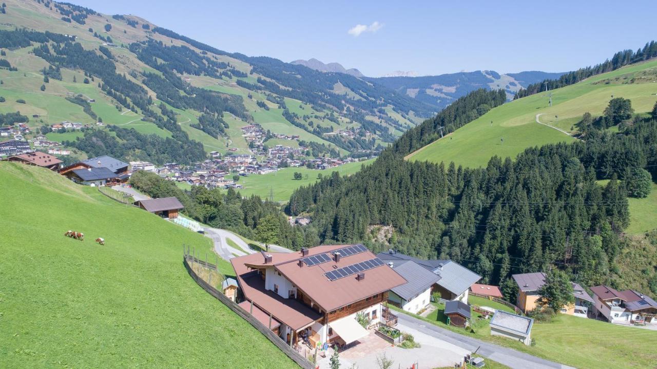Landhaus Hinterglemm Apartment Saalbach-Hinterglemm Exterior photo